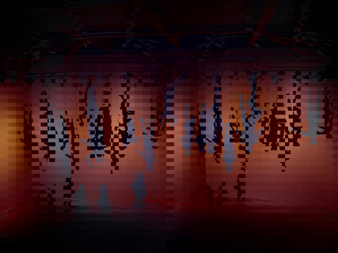 Interactive Art Exhibit Draws Crowds With Giant Tactile Sculptures